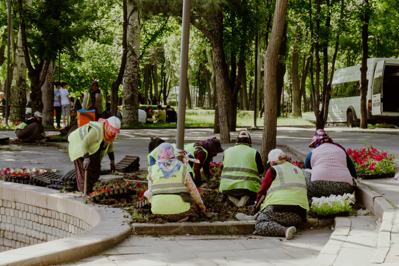 Neighbors planting a garden together in the park