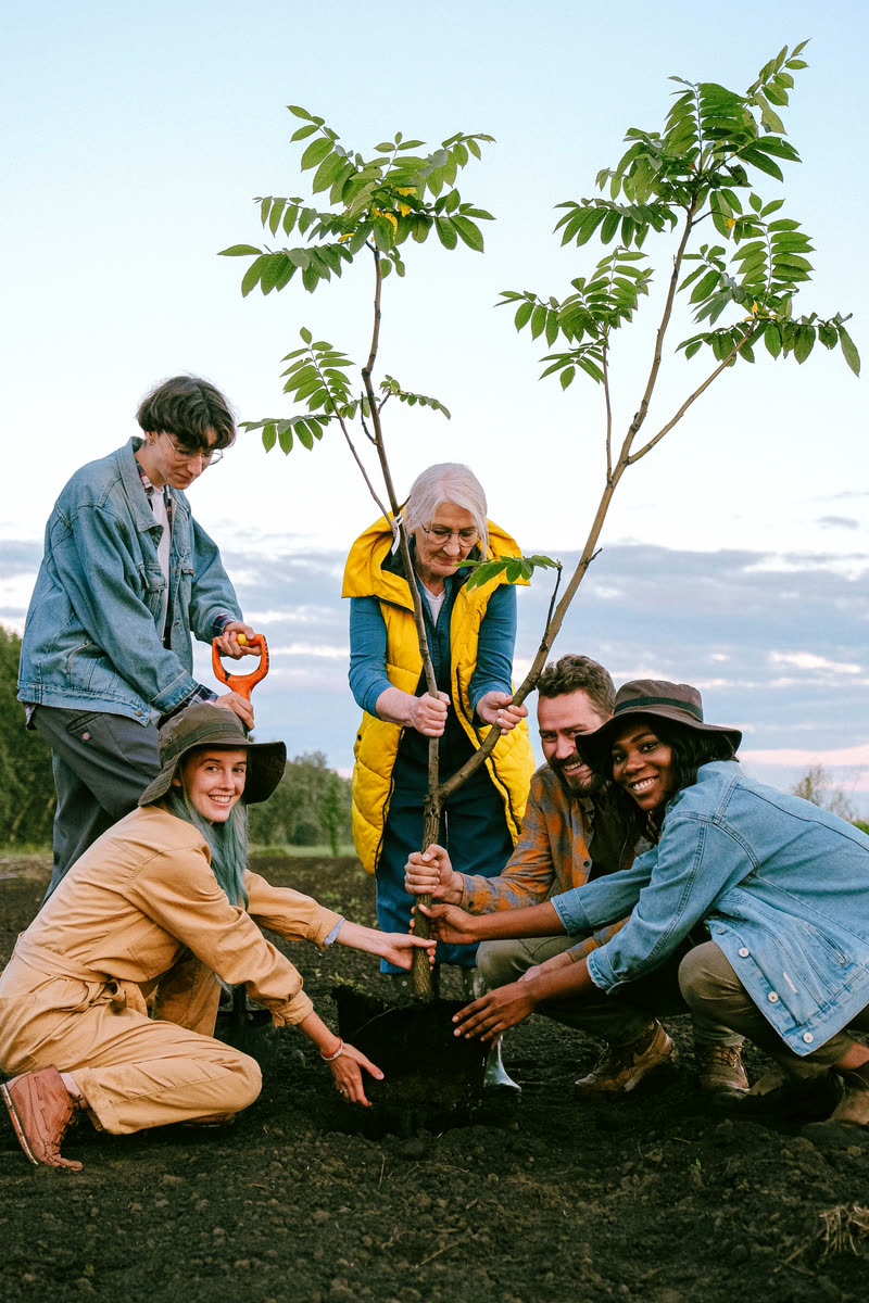 People planting a tree together in someone’s memory